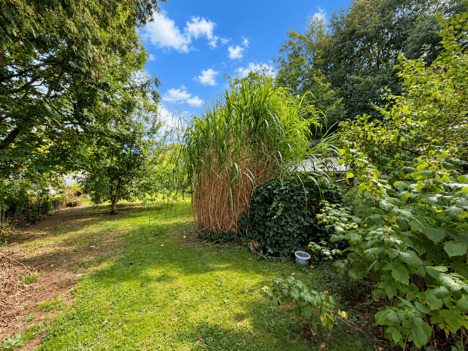 Maison 4 chambres avec jardin et 2 garages, photo 18 sur 26